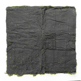 Декоративная панель из искусственного мха, 100*100 см, изображение 2 ᐒ купить на  ❤ Like7km.com.ua