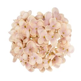 Головка гортензии мелкоцветная, светло-бежевая, 14 см, изображение 2 ᐒ купить на  ❤ Like7km.com.ua