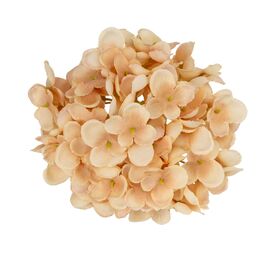 Головка гортензии мелкоцветная, бежевая, 14 см, изображение 2 ᐒ купить на  ❤ Like7km.com.ua