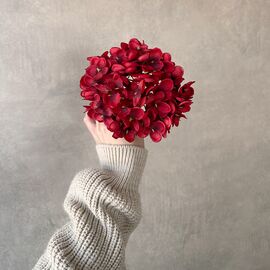 Головка гортензии мелкоцветная, красная, 14 см, изображение 4 ᐒ купить на  ❤ Like7km.com.ua