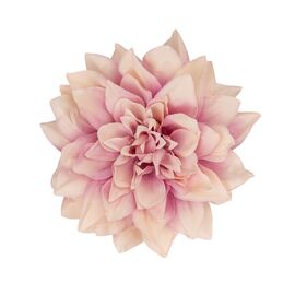 Головка георгина, кремово-лиловая, 15 см, изображение 2 ᐒ купить на  ❤ Like7km.com.ua