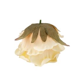 Головка розы, кремовая, 11 см, изображение 3 ᐒ купить на  ❤ Like7km.com.ua