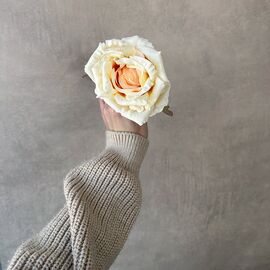 Головка розы, кремовая, 11 см, изображение 4 ᐒ купить на  ❤ Like7km.com.ua