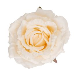 Головка розы, кремовая, 11 см, изображение 2 ᐒ купить на  ❤ Like7km.com.ua
