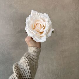 Головка розы, кремовая, 11 см, изображение 4 ᐒ купить на  ❤ Like7km.com.ua