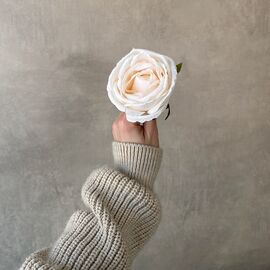 Головка розы, кремовая, 9 см, изображение 4 ᐒ купить на  ❤ Like7km.com.ua