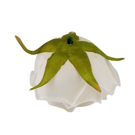 Головка розы, белая, 6 см, изображение 3 ᐒ купить на  ❤ Like7km.com.ua