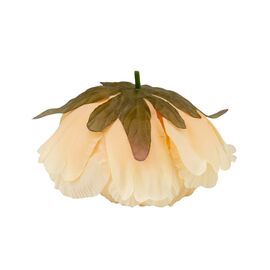 Головка пиона, бежевая, 10 см, изображение 3 ᐒ купить на  ❤ Like7km.com.ua