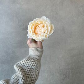 Головка пиона, кремовая, 10 см, изображение 3 ᐒ купить на  ❤ Like7km.com.ua