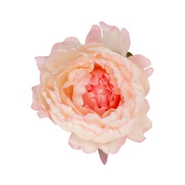 Головка пиона, розовая, 10 см, изображение 2 ᐒ купить на  ❤ Like7km.com.ua