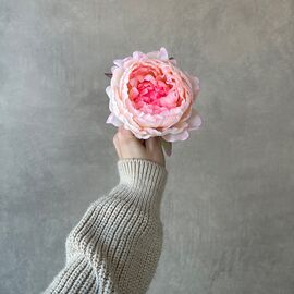 Головка пиона, розовая, 10 см, изображение 4 ᐒ купить на  ❤ Like7km.com.ua