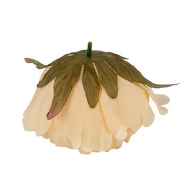 Головка пиона, бежевая, 10 см, изображение 3 ᐒ купить на  ❤ Like7km.com.ua