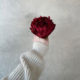 Головка пиона, бордовая, 10 см, изображение 3 ᐒ купить на  ❤ Like7km.com.ua