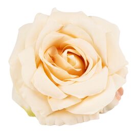 Головка розы, кремовая, 10 см, изображение 2 ᐒ купить на  ❤ Like7km.com.ua