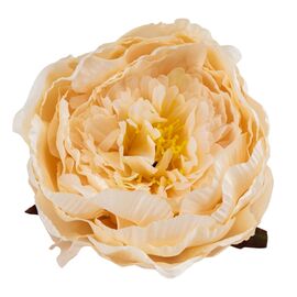 Головка пиона, кремовая, 11 см, изображение 3 ᐒ купить на  ❤ Like7km.com.ua