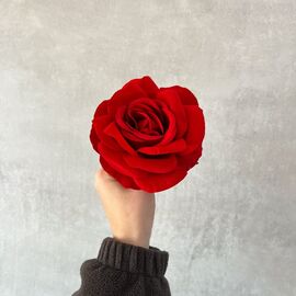 Головка розы красная 10 см, изображение 5 ᐒ купить на  ❤ Like7km.com.ua