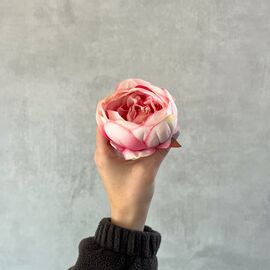 Головка розы, розово-белая, 8 см, изображение 5 ᐒ купить на  ❤ Like7km.com.ua