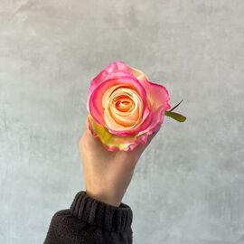 Головка розы, кремово-розовая, 8 см, изображение 5 ᐒ купить на  ❤ Like7km.com.ua