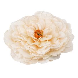 Головка пиона, кремовая, 17 см, изображение 3 ᐒ купить на  ❤ Like7km.com.ua