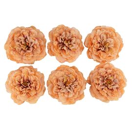 Головка пиона, бежевая, 17 см, изображение 2 ᐒ купить на  ❤ Like7km.com.ua