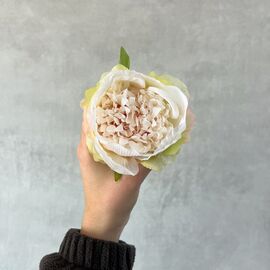 Головка пиона, бело-зеленая, 9 см, изображение 4 ᐒ купить на  ❤ Like7km.com.ua