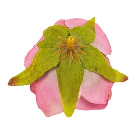 Головка розы, темно-розовая, 6 см, изображение 4 ᐒ купить на  ❤ Like7km.com.ua