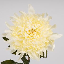 Искусственная хризантема, кремовая, 76 см, изображение 3 ᐒ купить на  ❤ Like7km.com.ua