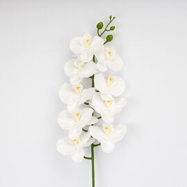 Искусственная орхидея, белая, 95 см, изображение 2 ᐒ купить на  ❤ Like7km.com.ua