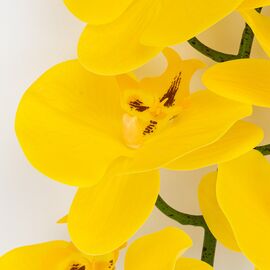 Искусственная орхидея, желтая, 95 см, изображение 3 ᐒ купить на  ❤ Like7km.com.ua