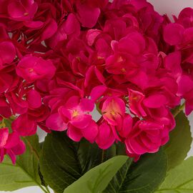 Букет гортензий, 5 бутонов, ярко-розовый, 48 см, изображение 2 ᐒ купить на  ❤ Like7km.com.ua