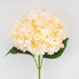 Искусственная гортензия, кремовая, 67 см, изображение 2 ᐒ купить на  ❤ Like7km.com.ua