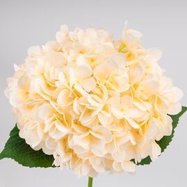 Искусственная гортензия, кремовая, 67 см, изображение 3 ᐒ купить на  ❤ Like7km.com.ua