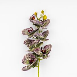 Латексная орхидея, зелено-бордовая, 76 см СПАСЕННАЯ ПОЗИЦИЯ, изображение 2 ᐒ купить на  ❤ Like7km.com.ua