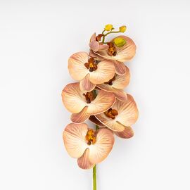 Латексная орхидея, кремово-розовая, 76 см СПАСЕННАЯ ПОЗИЦИЯ, изображение 2 ᐒ купить на  ❤ Like7km.com.ua