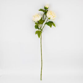 Искусственный пион с 3 бутонами с эффектом живого прикосновения, кремовый, 80 см, изображение 3 ᐒ купить на  ❤ Like7km.com.ua