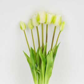 Букет латексных тюльпанов, 7 бутонов, бело-зеленый, 48 см, изображение 2 ᐒ купить на  ❤ Like7km.com.ua