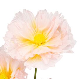 Большие ростовые декоративные цветы на стойке, бело-желтые, 165 см, изображение 3 ᐒ купить на  ❤ Like7km.com.ua