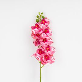 Искусственная орхидея, бело-розовая, 57 см, изображение 3 ᐒ купить на  ❤ Like7km.com.ua