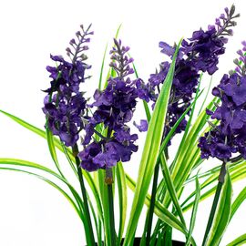 Горшочек "Лаванда"  фиалет, изображение 2 ᐒ купить на  ❤ Like7km.com.ua