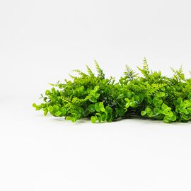 Фитомодуль искусственный "Самшит и папоротник", 40*60 cм, изображение 4 ᐒ купить на  ❤ Like7km.com.ua