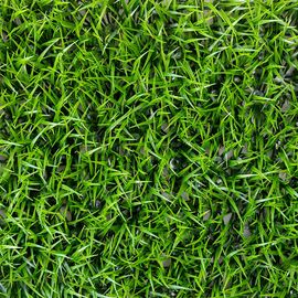 Фитомодуль искусственный "Травка", 40*60 cм, изображение 2 ᐒ купить на  ❤ Like7km.com.ua