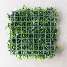 Фитомодуль искусственный "Самшит и папоротник", 50*50 cм, изображение 5 ᐒ купить на  ❤ Like7km.com.ua