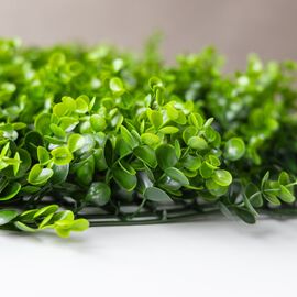 Фитомодуль искусственный "Самшит", 50*50 cм, изображение 4 ᐒ купить на  ❤ Like7km.com.ua