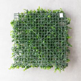 Фитомодуль искусственный "Самшит", 50*50 cм, изображение 5 ᐒ купить на  ❤ Like7km.com.ua