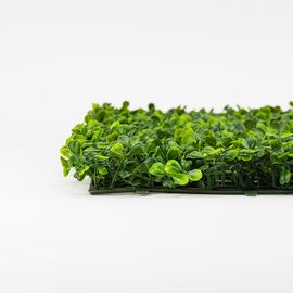 Фитомодуль искусственный "Самшит", 50*50 cм, изображение 4 ᐒ купить на  ❤ Like7km.com.ua