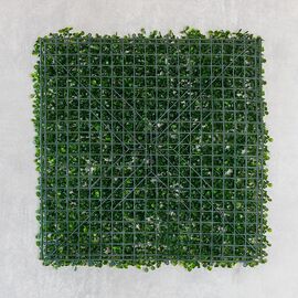 Фитомодуль искусственный "Самшит", 50*50 cм, изображение 6 ᐒ купить на  ❤ Like7km.com.ua