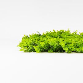 Фитомодуль искусственный "Травка", 50*50 cм, изображение 4 ᐒ купить на  ❤ Like7km.com.ua