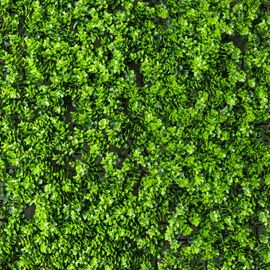 Фитомодуль искусственный "Травка", 50*50 cм, изображение 3 ᐒ купить на  ❤ Like7km.com.ua
