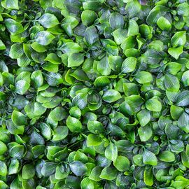 Фитомодуль искусственный "Гортензия", 50*50 cм, изображение 5 ᐒ купить на  ❤ Like7km.com.ua