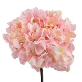 Гортензия "Анисия", розовая, 42 см, изображение 2 ᐒ купить на  ❤ Like7km.com.ua